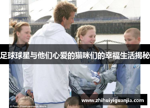 足球球星与他们心爱的猫咪们的幸福生活揭秘